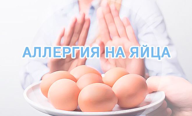 Аллергия На Яйца Диета