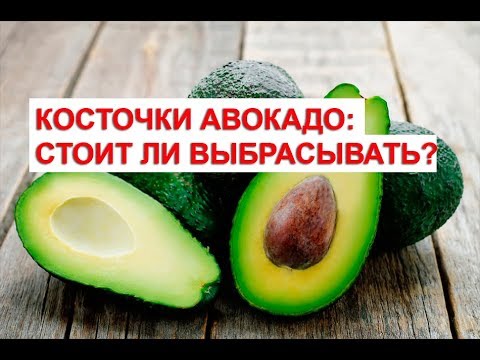 Косточки авокадо стоит ли выбрасывать противоопухолевое противогрибковое антиоксидантное и другие ц