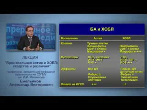 Бронхиальная астма и ХОБЛ: сходства и различия, проф. Емельянов А.В
