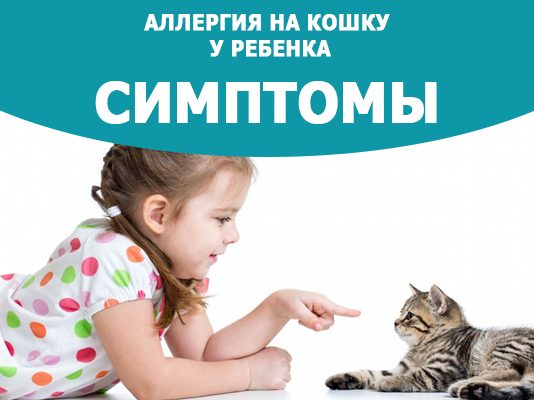 Аллергия-на-кошку-у-ребенка-симптомы