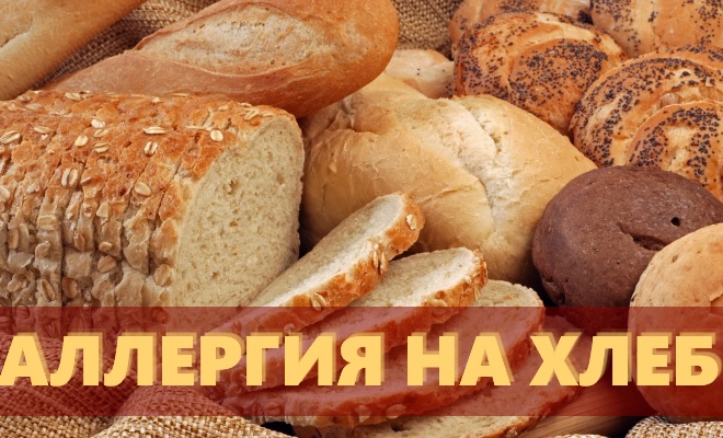 Аллергия на хлеб