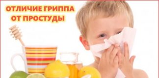 Отличие гриппа от простуды