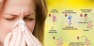 Причины аллергии