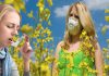 Признаки астмы у взрослого на фоне аллергии