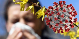 Почему риск заражения COVID-19 и аллергией выше весной