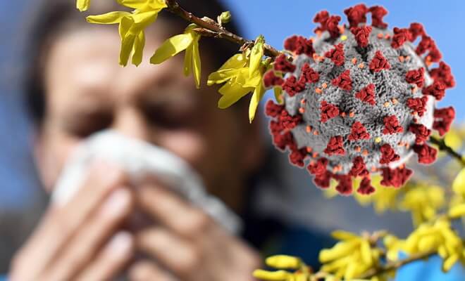 Почему риск заражения COVID-19 и аллергией выше весной